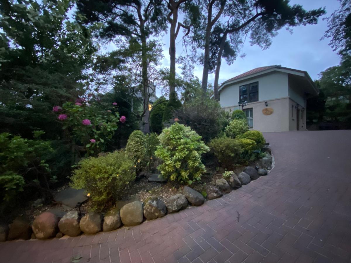 Ailim House Serviced Cottage Escape, Around The Corner From The Old Course St Andrews Ngoại thất bức ảnh